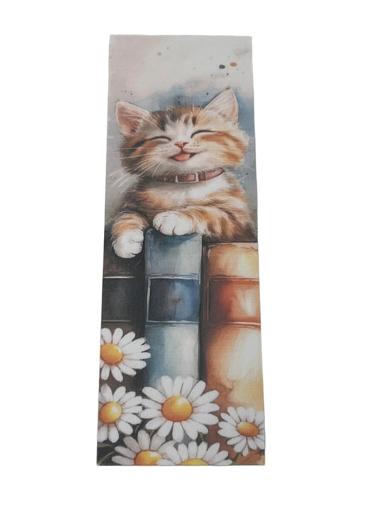 Orange and White Cat with Daisies